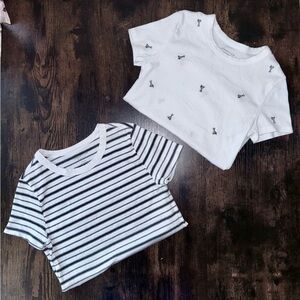 American Eagle Outfitters Baby Tee’s

BOTH INCLUDED